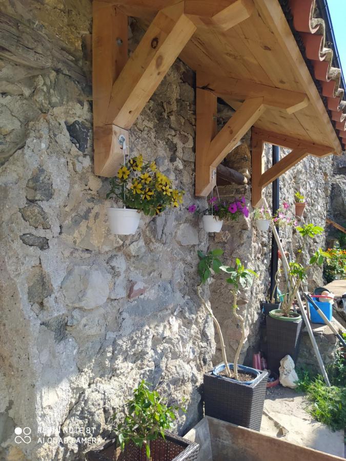 Bed and Breakfast Massia Gasset Senterada Екстер'єр фото