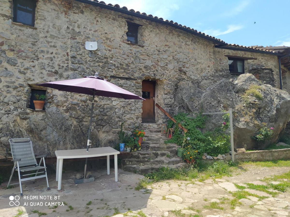 Bed and Breakfast Massia Gasset Senterada Екстер'єр фото