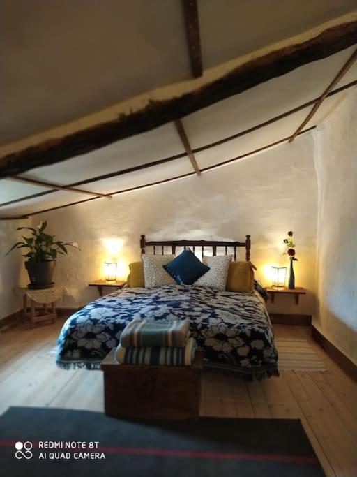 Bed and Breakfast Massia Gasset Senterada Екстер'єр фото