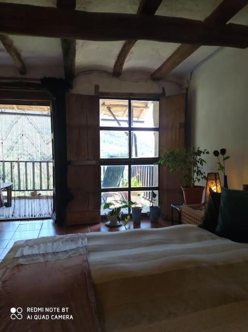 Bed and Breakfast Massia Gasset Senterada Екстер'єр фото